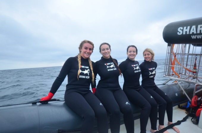 Shark Cage Diving KZN
