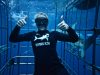 Shark Cage Diving KZN