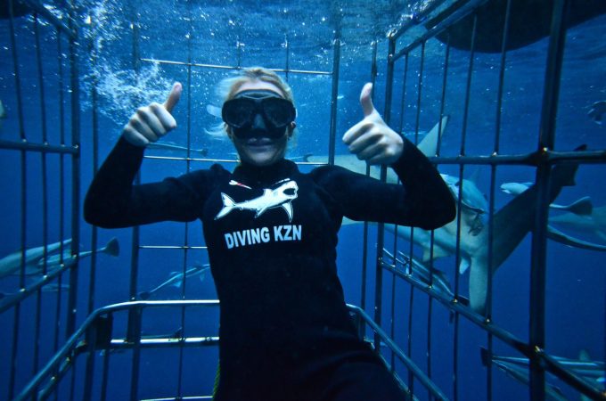 Shark Cage Diving KZN