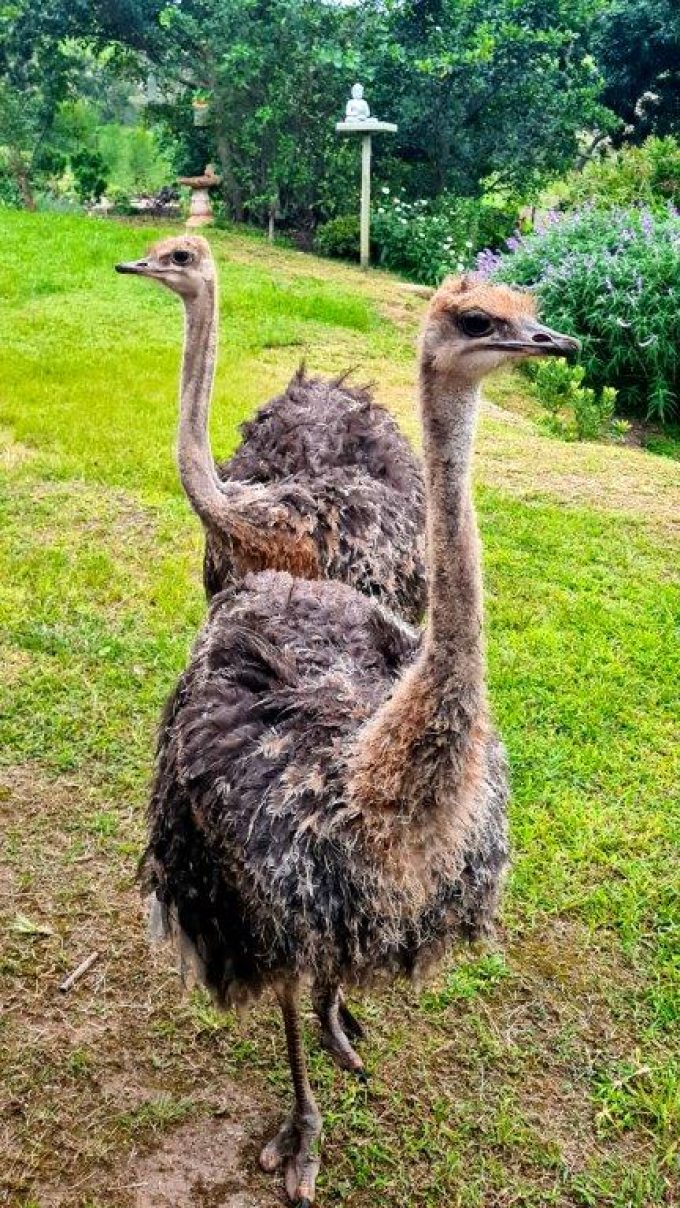 The Farmers View Oribi Gorge
