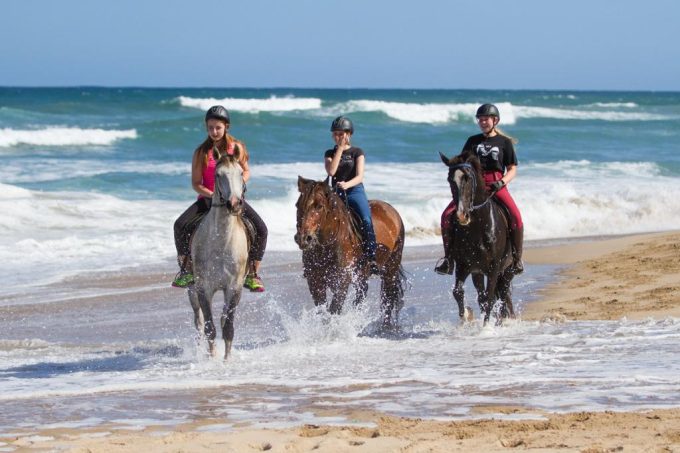 Selsdon Park: Beach Horse Rides