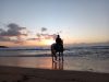 African Sky Beach and Trail Horse Rides