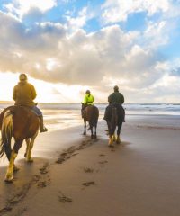 African Sky Beach and Trail Horse Rides