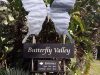Butterfly Valley Ramsgate