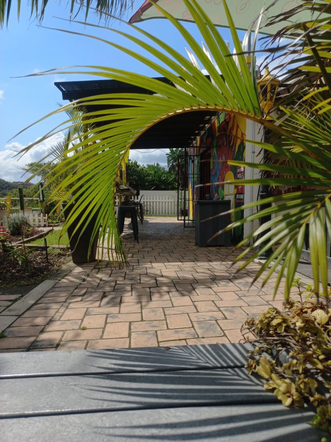 My Happy Place Shelly Beach