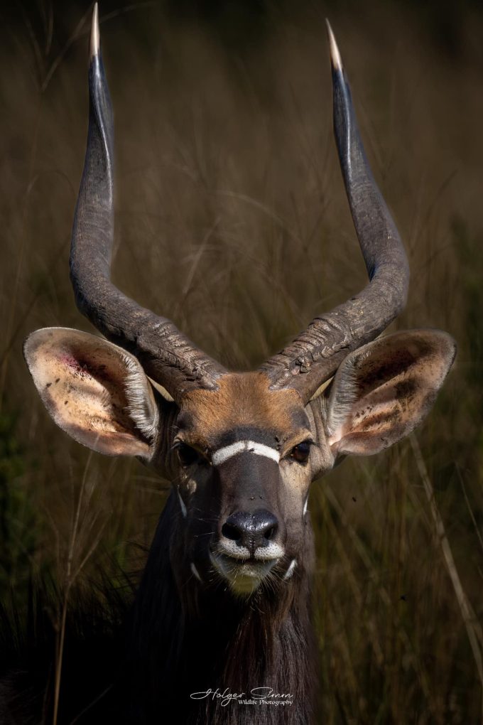 River Valley Nature Reserve