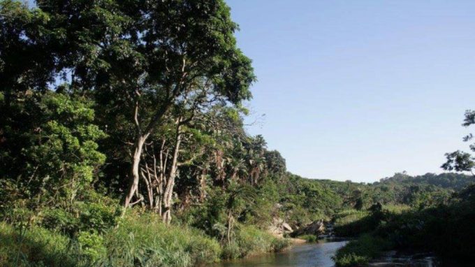 River Valley Nature Reserve