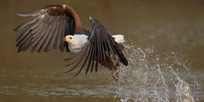 River Valley Nature Reserve
