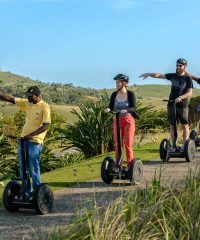 Segway Gliding Tours – Mac Banana
