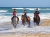 Selsdon Park: Beach Horse Rides