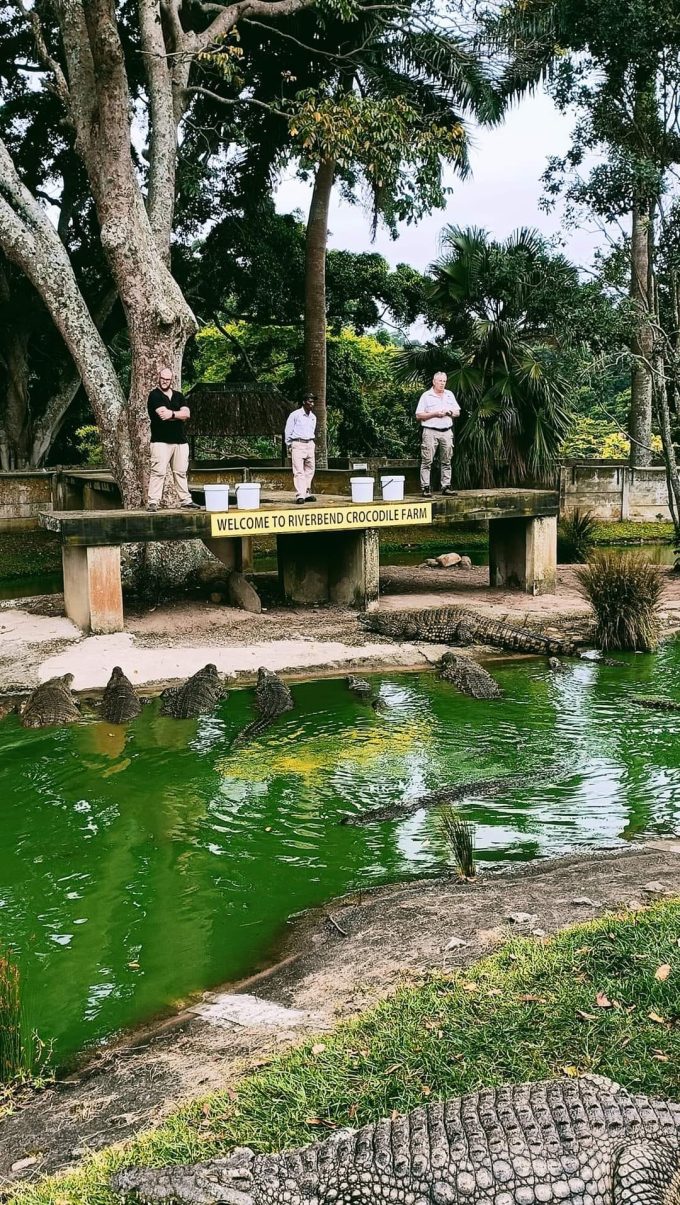 Riverbend Crocodile Farm