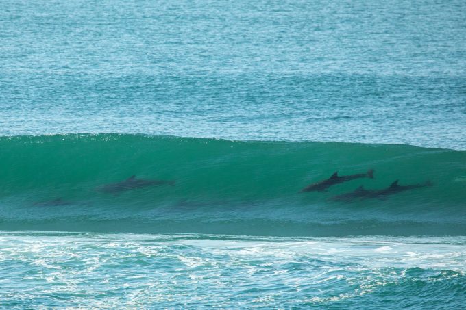 Umzumbe Surf Camp and Surf Lessons