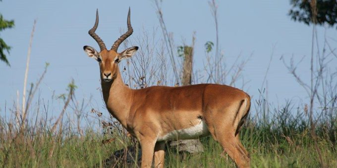 River Valley Nature Reserve