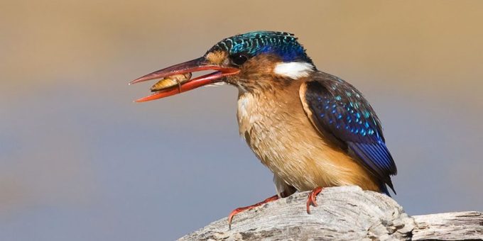 River Valley Nature Reserve