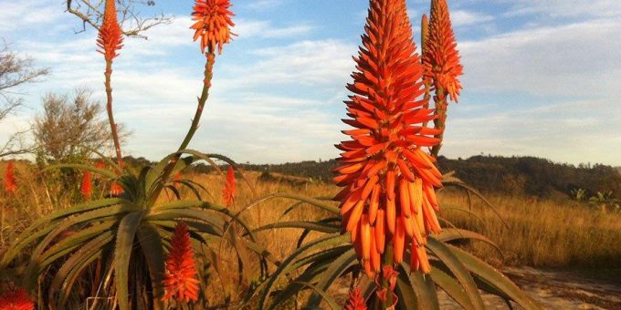 River Valley Nature Reserve