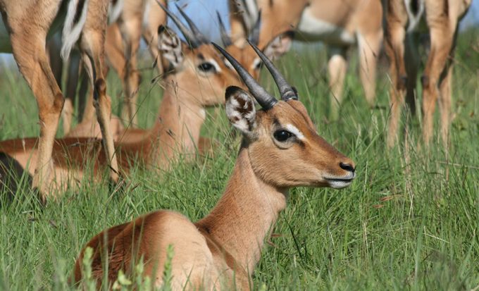River Valley Nature Reserve