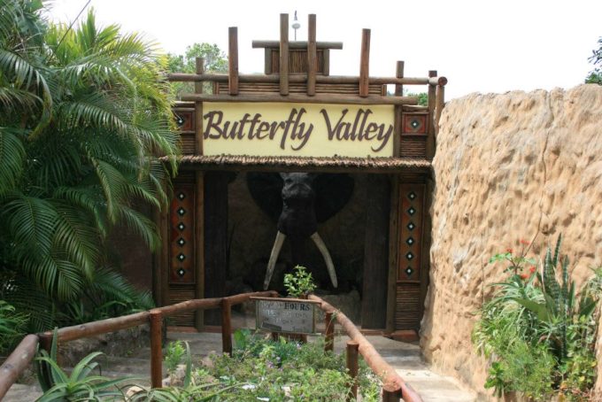 Butterfly Valley Ramsgate