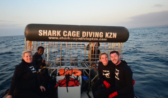 Shark Cage Diving KZN