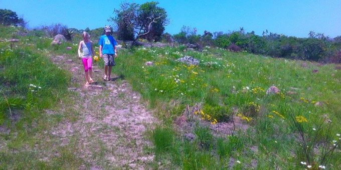 River Valley Nature Reserve