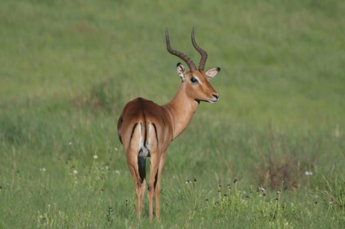 River Valley Nature Reserve