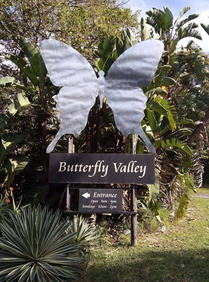 Butterfly Valley Ramsgate