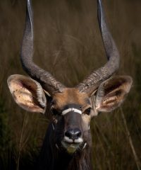 River Valley Nature Reserve