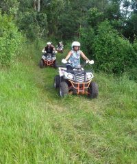 Wild 5 Quad Bikes