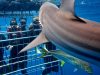 Shark Cage Diving KZN