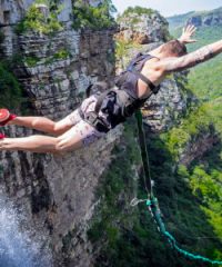 Wild 5 Adventures