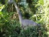Dino Park SA