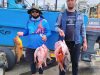 Strike Fishing Charters South Coast