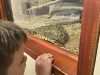Riverbend Crocodile Farm