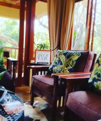 Forest Spa at Honeywood