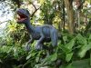 Dino Park SA