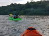 Kayak Trips - Port Shepstone