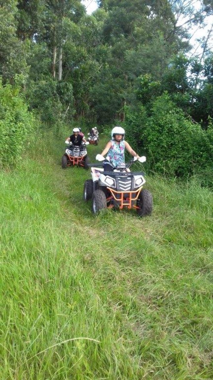 Wild 5 Quad Bikes